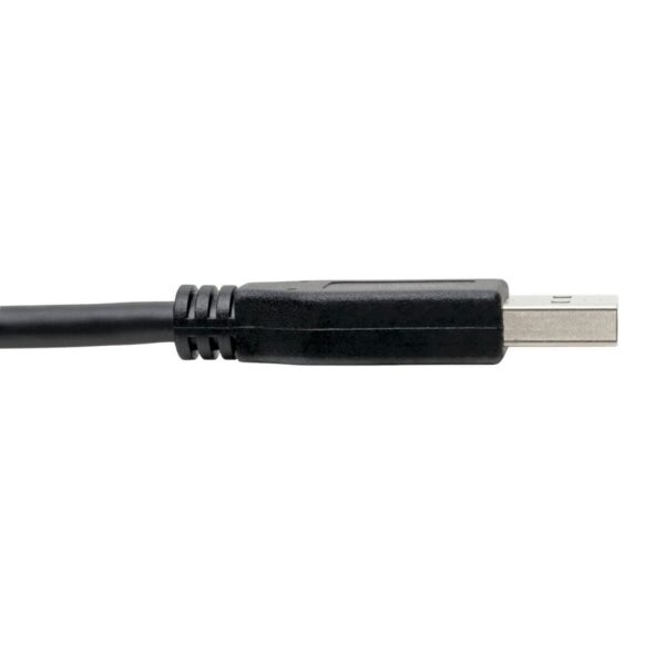 Tripp Lite series USB-C to USB-A Cable (M/M), USB 3.2 Gen 1 (5 Gbps), Thunderbolt 3 Compatible, 6 ft. (1.83 m)