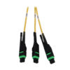 Tripp Lite series Preloaded Fiber Panel, 1U - 4x (3x8F MTP/MPO-APC F/F) 24F Trunk Cables, OS2 Singlemode, 10 m (32.8 ft.)