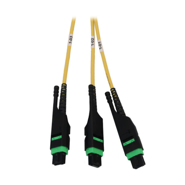 Tripp Lite series Preloaded Fiber Panel, 1U - 4x (3x8F MTP/MPO-APC F/F) 24F Trunk Cables, OS2 Singlemode, 10 m (32.8 ft.)