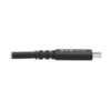 Tripp Lite series USB4 40Gbps Cable (M/M) - USB-C, 8K 60 Hz, 100W PD Charging, Black, 31 in. (0.8 m)
