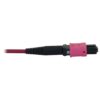 ecce9d73d467a7de4fc89ad2ad5f8e8d Tripp Lite series 40/100/400G Multimode 50/125 OM4 Fiber Optic Cable (3x8F MTP/MPO-PC F/F), LSZH, Magenta, 15 m (49.2 ft.)