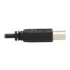 ecfdd51116aee0248f704e6e8c4dbf72 Tripp Lite series DisplayPort KVM Cable Kit, 3 in 1 - 4K DisplayPort, USB, 3.5 mm Audio (3xM/3xM), 4:4:4, 6 ft. (1.83 m), Black