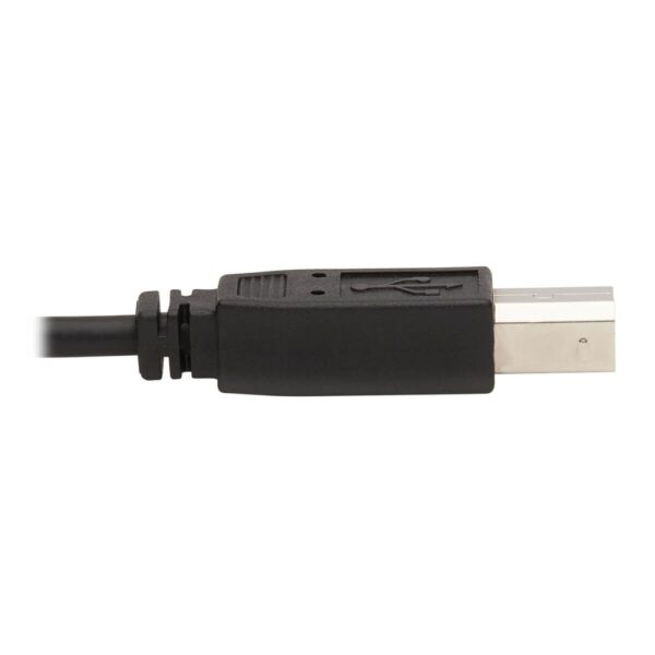 ecfdd51116aee0248f704e6e8c4dbf72 Tripp Lite series DisplayPort KVM Cable Kit, 3 in 1 - 4K DisplayPort, USB, 3.5 mm Audio (3xM/3xM), 4:4:4, 6 ft. (1.83 m), Black