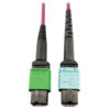 ede1fce43f436a96ad89f7e8a92f9d92 Tripp Lite series 400G Multimode 50/125 OM4 Plenum Fiber Optic Cable, 16F MTP/MPO-APC to 24F MTP/MPO-UPC (F/F), Magenta, 5 m