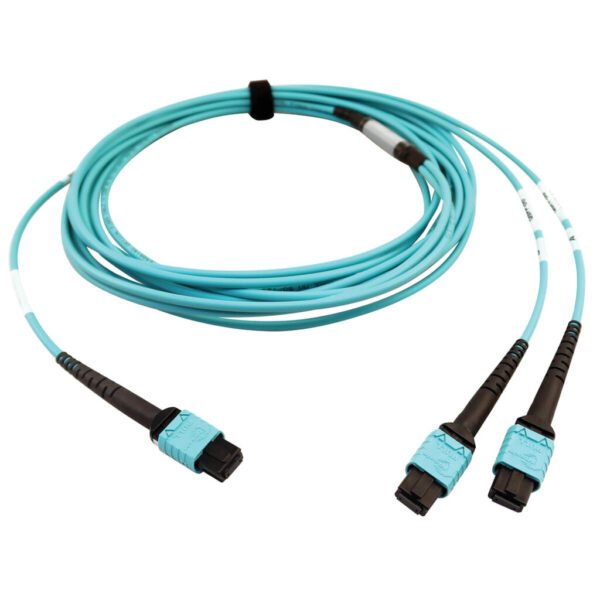 Tripp Lite series 400G Multimode 50/125 OM4 Plenum Fiber Optic Cable, 24F MTP/MPO-PC to (x2) 12F MTP/MPO-PC (F/F), Aqua, 5 m
