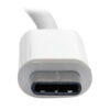 Tripp Lite series USB-C Multiport Adapter (M/3xF) - 4K HDMI, DVI, VGA, HDCP, White