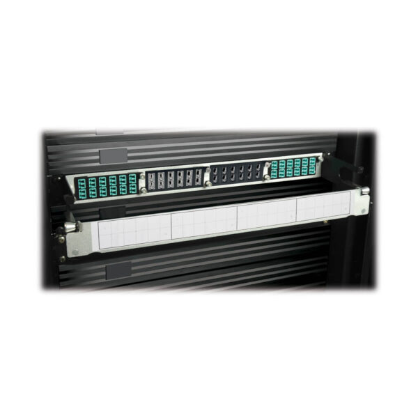 Tripp Lite series 100Gb/120Gb Pass-Through Cassette - (x12) 24-Fiber MTP/MPO ( Female )