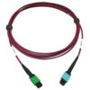 f36436ec6c729cd2425d355fc3d62883 Tripp Lite series 400G Multimode 50/125 OM4 Plenum Fiber Optic Cable, 16F MTP/MPO-APC to 24F MTP/MPO-UPC (F/F), Magenta, 3 m