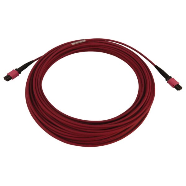 f40074008afffdcb9de992381eb66092 Tripp Lite series 100G Multimode 50/125 OM4 Fiber Optic Cable (12F MTP/MPO-PC F/F), LSZH, Magenta, 15 m (49.2 ft.)