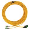 Tripp Lite series 40/100G Singlemode 9/125 OS2 Fiber Optic Cable (3x8F MTP/MPO-APC F/F), LSZH, Yellow, 45 m (147 ft.)