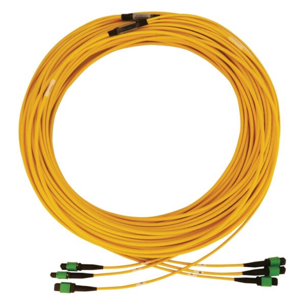 Tripp Lite series 40/100G Singlemode 9/125 OS2 Fiber Optic Cable (3x8F MTP/MPO-APC F/F), LSZH, Yellow, 45 m (147 ft.)