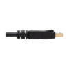 f43cf3694ed45b56b8963d060d134cb5 Tripp Lite series HDMI to DisplayPort Active Adapter Cable (M/M) - 4K, USB Power, Black, 2 m (6.6 ft.)