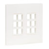 Tripp Lite series 12-Port Keystone Double-Gang Faceplate, White, TAA - N080-212