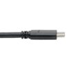Tripp Lite series USB-C to USB-A Cable (M/M), USB 3.2 Gen 1 (5 Gbps), Thunderbolt 3 Compatible, 6 ft. (1.83 m)