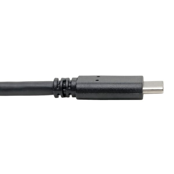 Tripp Lite series USB-C to USB-A Cable (M/M), USB 3.2 Gen 1 (5 Gbps), Thunderbolt 3 Compatible, 6 ft. (1.83 m)