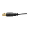 Tripp Lite series 4K HDMI to DisplayPort Active Converter (M/F) with USB Power, 6 in. (15.2 cm)