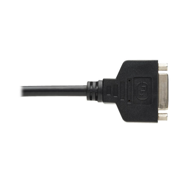 Tripp Lite series DisplayPort to DVI-I Adapter Cable (M/F), 6 in. (15.2 cm), TAA