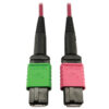 Tripp Lite series 400G Multimode 50/125 OM4 Plenum Fiber Optic Cable, 16F MTP/MPO-APC to MTP/MPO-UPC (F/F), Magenta, 5 m