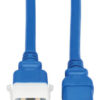 Tripp Lite series PDU Power Cords, C19 to P-Lock C20 - Heavy-Duty, 20A, 250V, 12 AWG, 4 ft. (1.2 m), Blue, 6 Pack