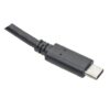 Tripp Lite series USB-C to USB-A Cable (M/M), USB 3.2 Gen 1 (5 Gbps), Thunderbolt 3 Compatible, 6 ft. (1.83 m)