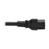 Tripp Lite series Power Cord, C20 to C21 - Heavy-Duty, 20A, 250V, 12 AWG, 10 ft. (3.05 m), Black