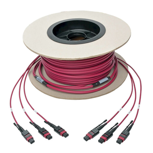 Tripp Lite MTP/MPO Multimode Base-8 Trunk Cable, 24-Strand, 40GB/100GB, 40/100GBASE-SR4, OM4 Plenum-Rated (3xF/3xF), Magenta, 61 m - N858-61M-3X8-MG
