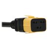 ffa34e08aea0de5063be929008c4026e Tripp Lite series Plug-Lock Inserts, C19 Power Cord to C20 Outlet, Yellow, 100 Pack