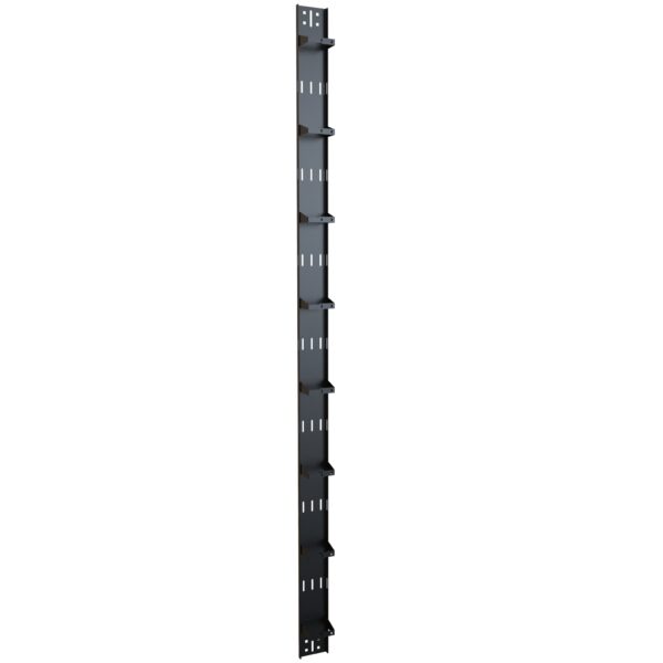 Hammond 48U Vertical Ring Mgr for H1