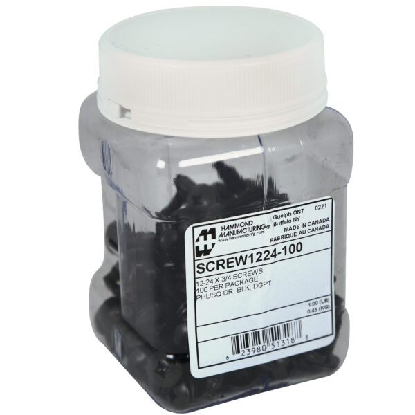 Hammond 100-Pkg 12-24 Rack Screws