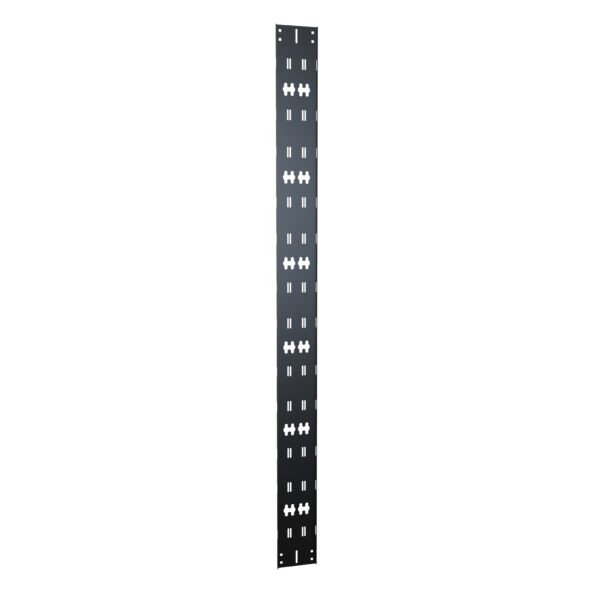 Hammond 45U Vert Cable Tray W/PDU Mtg
